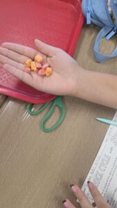 Sixth Graders Explore the Rock Cycle with Starburst Candies 🍬