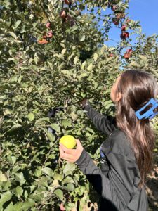 Eighth Graders Explore Bauman Orchards on Hands-On Field Trip 🍎🚜